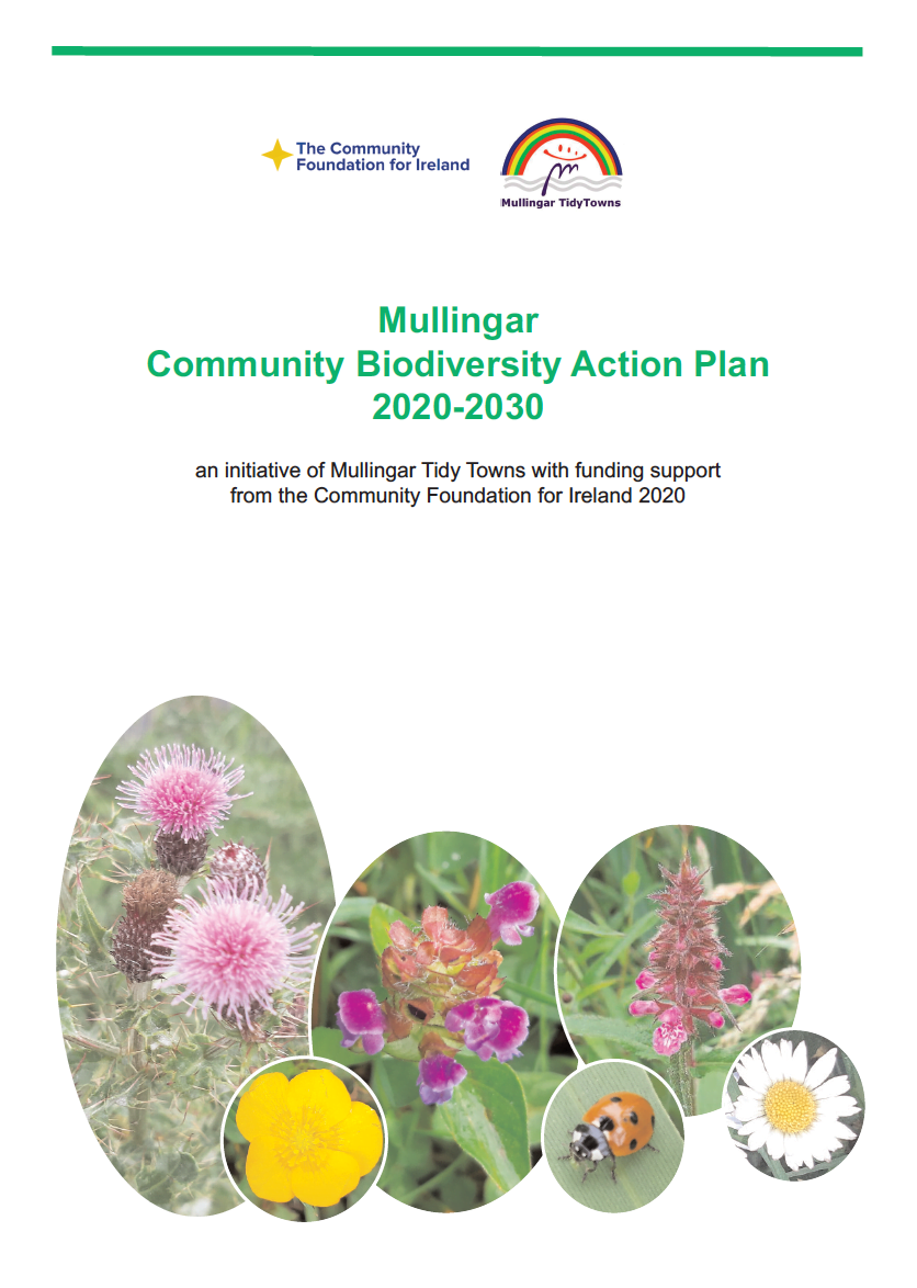 Mullingar Community Biodiversity Action Plan Actions For