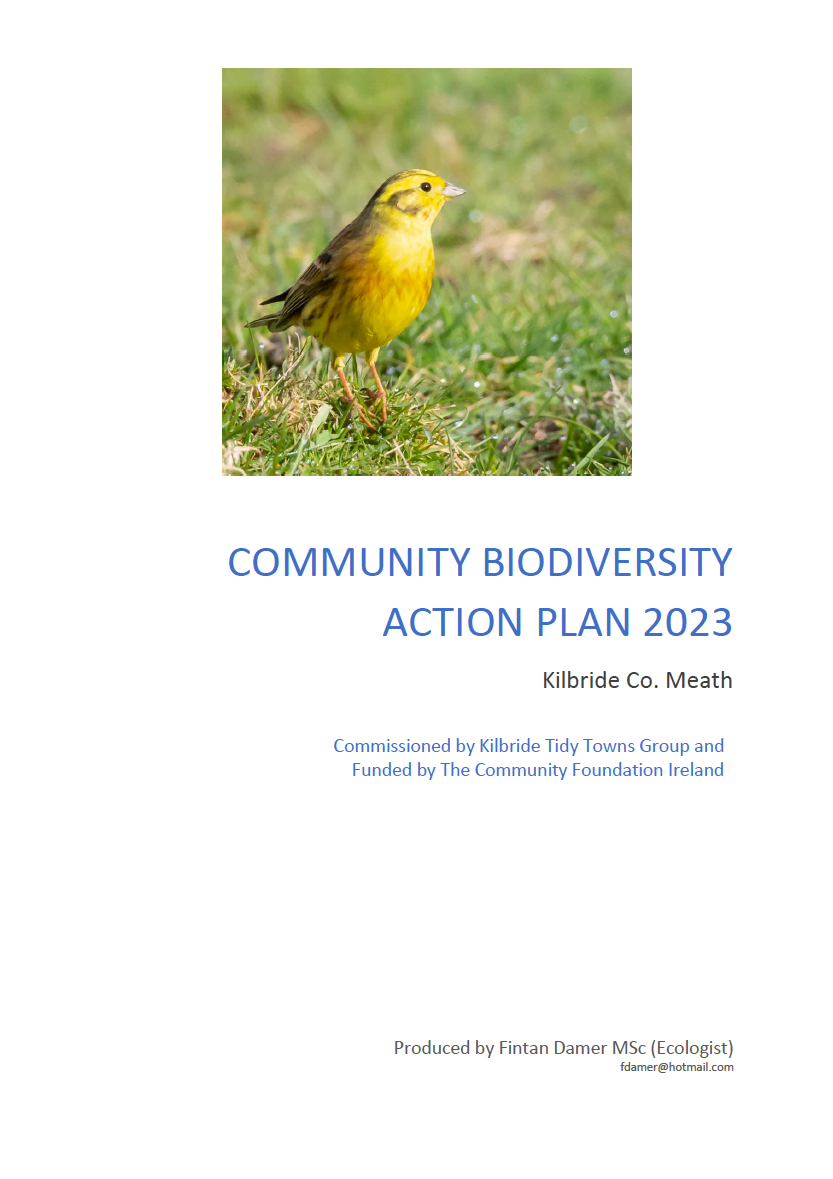 Kilbride Community Biodiversity Action Plan 2023 – Actions For Biodiversity