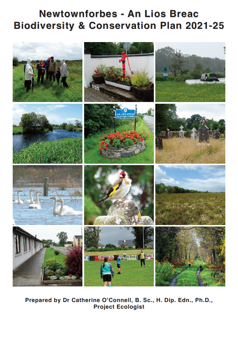 Newtownforbes Biodiversity Plan 2021-2025 – Actions For Biodiversity