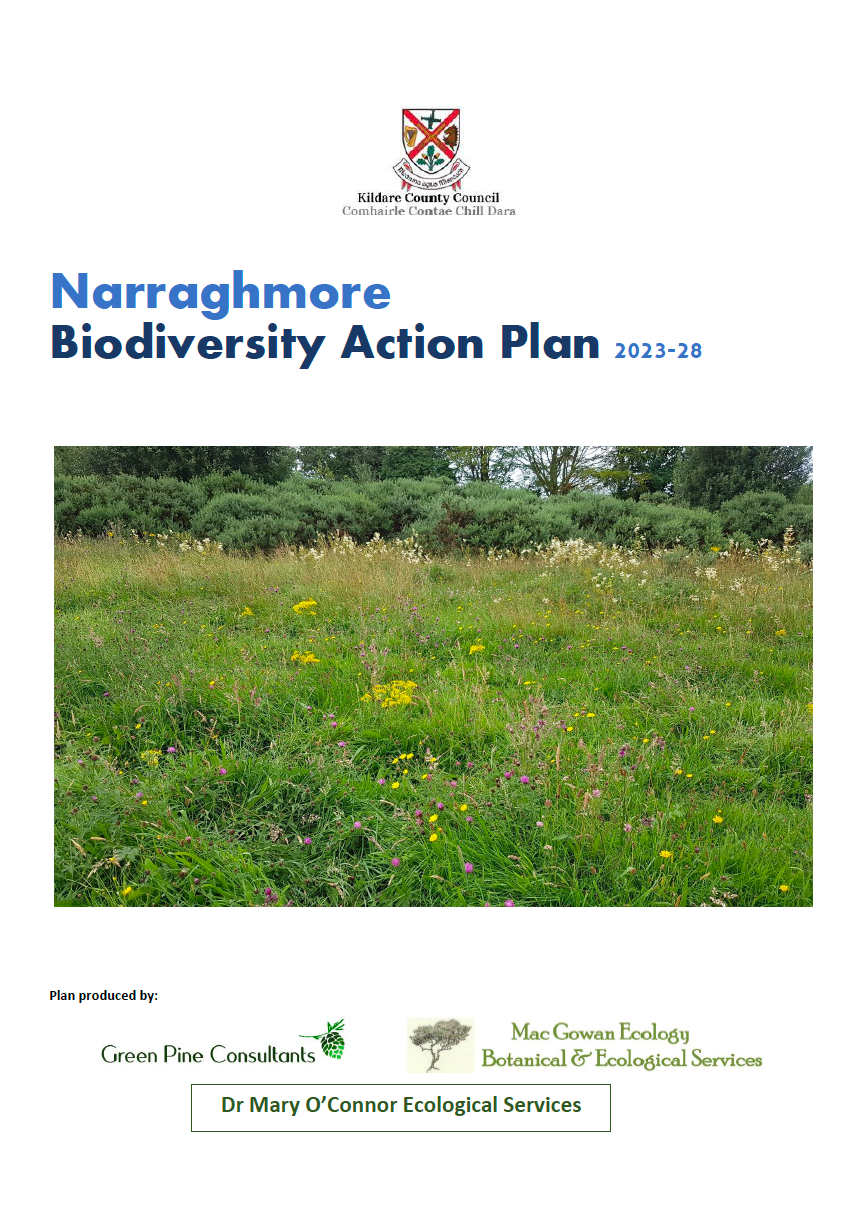 Narraghmore Biodiversity Action Plan 2023-2028 – Actions For Biodiversity