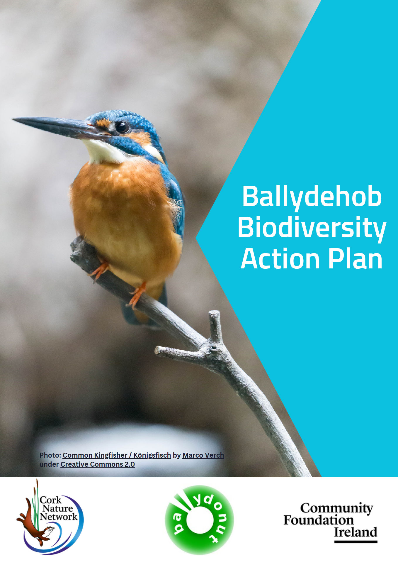 Ballydehob Biodiversity Action Plan – Actions for Biodiversity